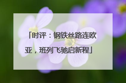 时评：钢铁丝路连欧亚，班列飞驰启新程