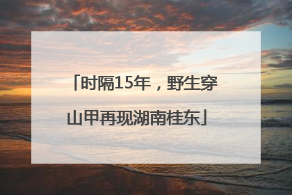 时隔15年，野生穿山甲再现湖南桂东