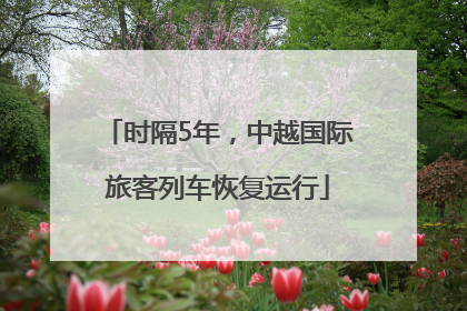 时隔5年，中越国际旅客列车恢复运行