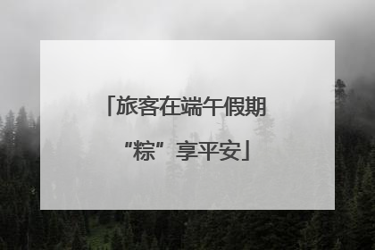旅客在端午假期“粽”享平安