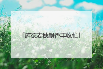 旌德麦穗飘香丰收忙