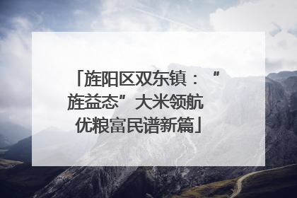 旌阳区双东镇：“旌益态”大米领航 优粮富民谱新篇