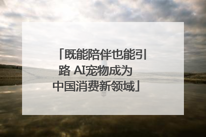 既能陪伴也能引路 AI宠物成为中国消费新领域