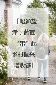 昭通盐津：蓝莓“串”起乡村振兴增收链