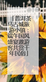普洱茶马古城旅游小镇：端午国风盛宴邀游客共赏千年民俗