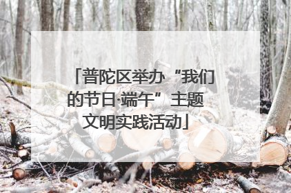 普陀区举办“我们的节日·端午”主题文明实践活动