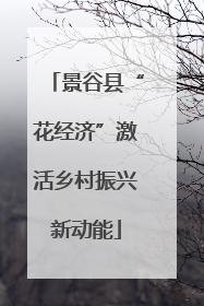 景谷县“花经济”激活乡村振兴新动能