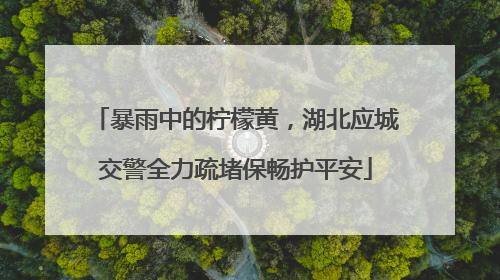 暴雨中的柠檬黄，湖北应城交警全力疏堵保畅护平安