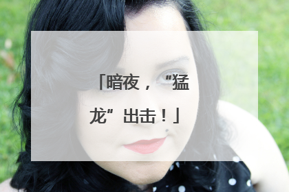 暗夜，“猛龙”出击！