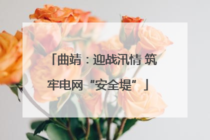 曲靖：迎战汛情 筑牢电网“安全堤”