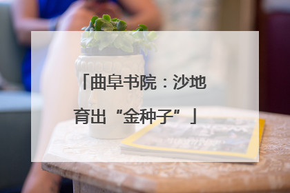 曲阜书院：沙地育出“金种子”