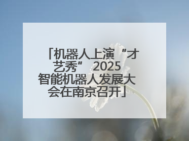 机器人上演“才艺秀” 2025智能机器人发展大会在南京召开