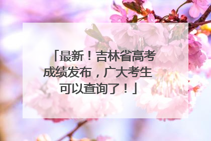 最新！吉林省高考成绩发布，广大考生可以查询了！