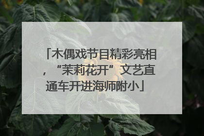 木偶戏节目精彩亮相，“茉莉花开”文艺直通车开进海师附小