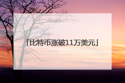 比特币涨破11万美元