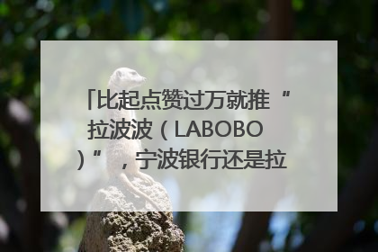 比起点赞过万就推“拉波波（LABOBO）”，宁波银行还是拉业绩吧｜财经辣评