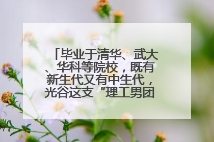 毕业于清华、武大、华科等院校，既有新生代又有中生代，光谷这支“理工男团”为何“出道”？