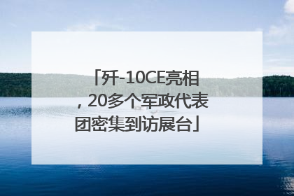 歼-10CE亮相，20多个军政代表团密集到访展台
