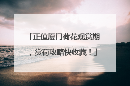 正值厦门荷花观赏期，赏荷攻略快收藏！