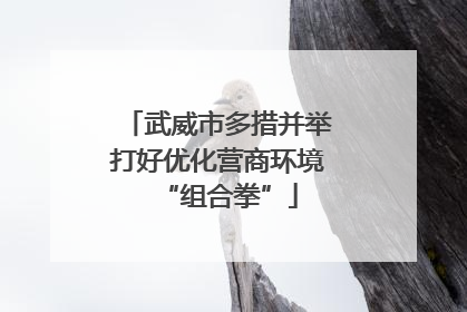 武威市多措并举打好优化营商环境“组合拳”