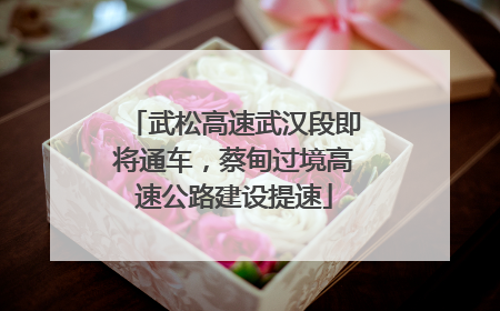 武松高速武汉段即将通车，蔡甸过境高速公路建设提速