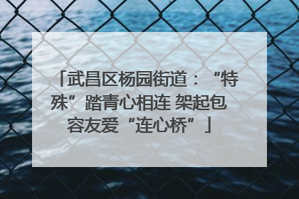 武昌区杨园街道：“特殊”踏青心相连 架起包容友爱“连心桥”