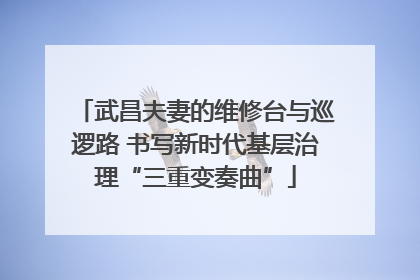 武昌夫妻的维修台与巡逻路 书写新时代基层治理“三重变奏曲”