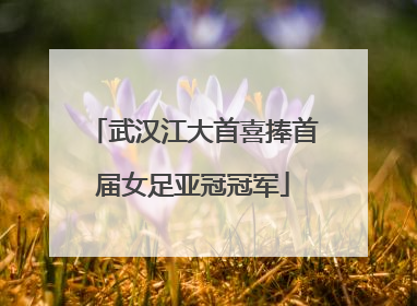 武汉江大首喜捧首届女足亚冠冠军
