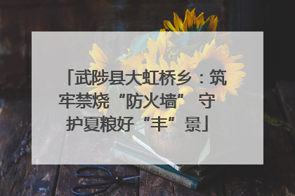 武陟县大虹桥乡：筑牢禁烧“防火墙” 守护夏粮好“丰”景