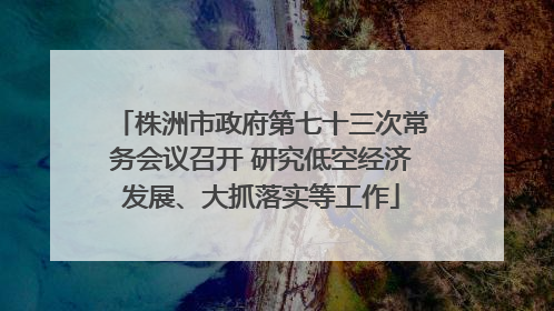 株洲市政府第七十三次常务会议召开 研究低空经济发展、大抓落实等工作