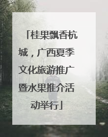 桂果飘香杭城，广西夏季文化旅游推广暨水果推介活动举行