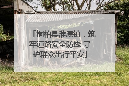 桐柏县淮源镇：筑牢道路安全防线 守护群众出行平安