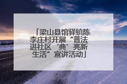 梁山县馆驿镇陈李庄村开展“普法进社区‘典’亮新生活”宣讲活动