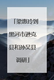 梁惠玲到黑河市逊克县和孙吴县调研