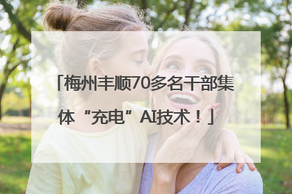 梅州丰顺70多名干部集体“充电”AI技术！