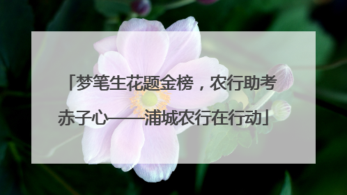 梦笔生花题金榜，农行助考赤子心——浦城农行在行动