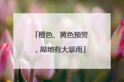 橙色、黄色预警，局地有大暴雨