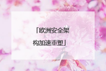 欧洲安全架构加速重塑