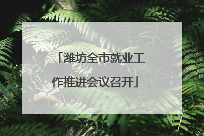 潍坊全市就业工作推进会议召开