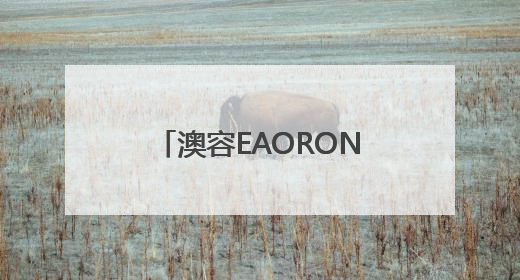 澳容EAORON亮相2025服贸会展前推介交流会