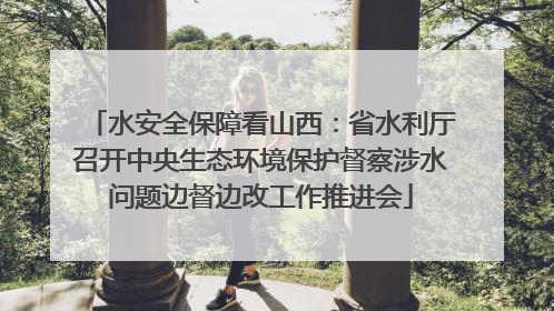 水安全保障看山西：省水利厅召开中央生态环境保护督察涉水问题边督边改工作推进会