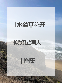 水蕴草花开 似繁星满天｜图集