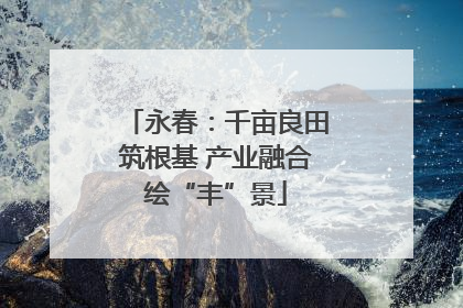 永春：千亩良田筑根基 产业融合绘“丰”景