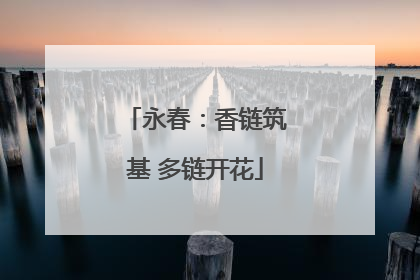 永春：香链筑基 多链开花