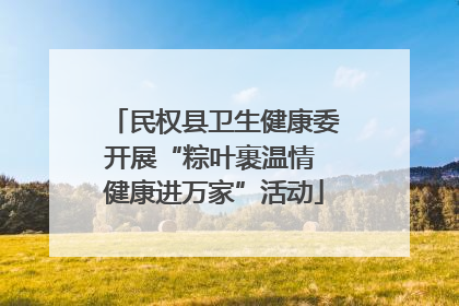 民权县卫生健康委开展“粽叶裹温情 健康进万家”活动
