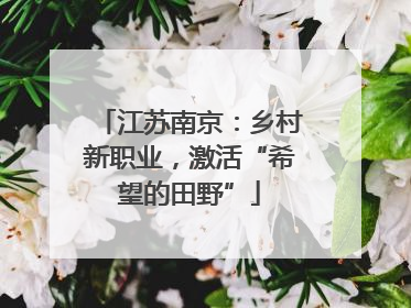 江苏南京：乡村新职业，激活“希望的田野”
