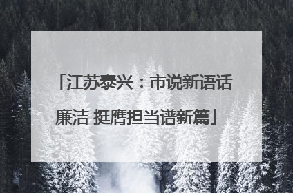江苏泰兴：市说新语话廉洁 挺膺担当谱新篇
