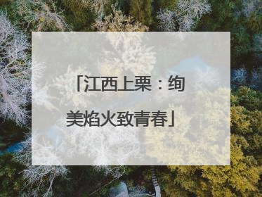 江西上栗：绚美焰火致青春