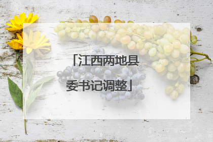 江西两地县委书记调整