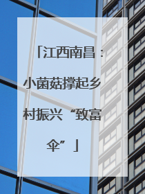 江西南昌：小菌菇撑起乡村振兴“致富伞”